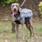 Abrigo Reversible Impermeable para Perros - Calidez y Protección Garantizada