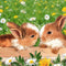 F Round 20 X 30 Cm