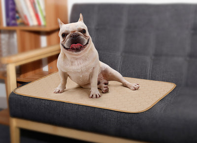 Tapete Absorbente para Mascotas - Image 6