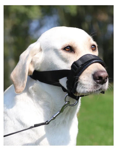 Bozal Ajustable para Perros Anti-mordidas y Anti-ladridos con Espuma Suave - Image 10
