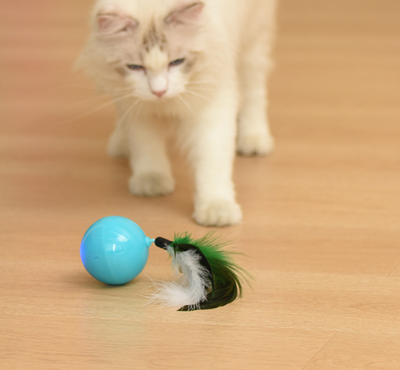 Teal cat toy with a feather and bell attachment, held in a hand against a blue and beige background. - Image 11