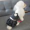 Vestido Princesa de Lana Estilo Coreano para Perros Teddy