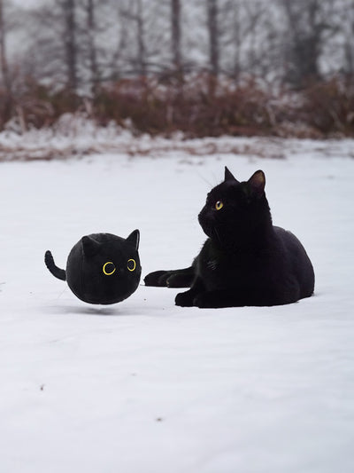 Peluche Gato Negro Suave - Almohada Decorativa y Juguete Acogedor - Image 10