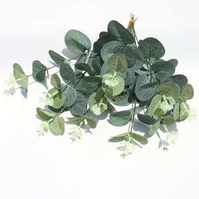 Arreglo Floral en Maceta - Planta Dinero Verde Elegante para Eventos - Image 10