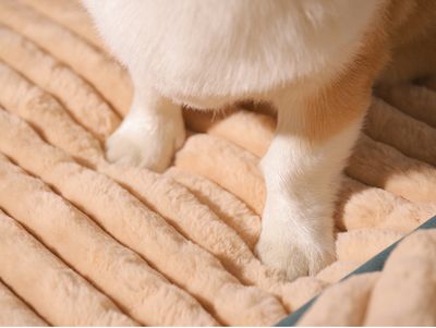 Cama Térmica Acogedora para Perros y Gatos - Colchoneta Cálida para Invierno - Image 14