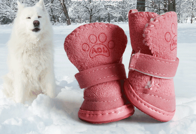 Botines para Perros de Piel de Cordero - Zapatos Cálidos para Nieve - Image 5