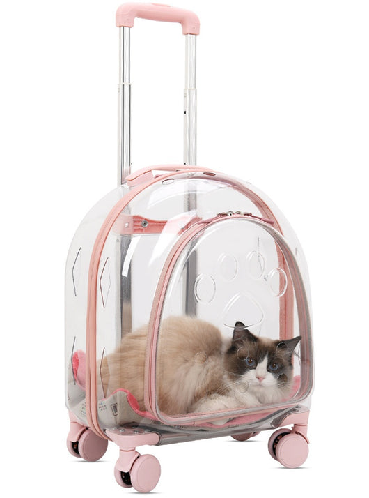 Mochila Transportadora Panorámica para Mascotas con Ventana Transparente - Image 14