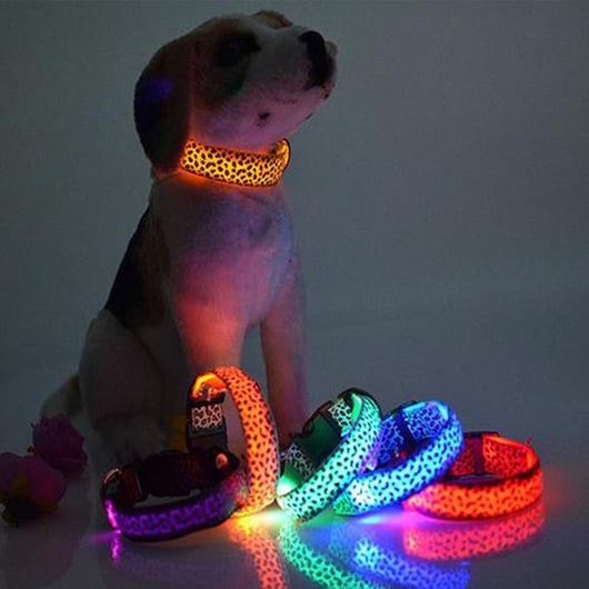 Collar LED Ajustable para Perros con Diseño Leopardo - Seguridad Nocturna