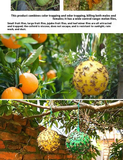 Bola Adhesiva Atrapamoscas de la Fruta Aroma Naranja - Image 10
