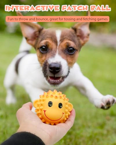 Juguetes Interactivos para Perros - Pelotas de Látex con Sonido Chirriante y Textura Espinuda - Image 4