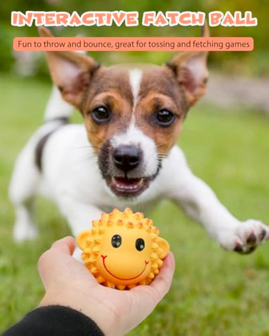 Juguetes Interactivos para Perros - Pelotas de Látex con Sonido Chirriante y Textura Espinuda - Image 4