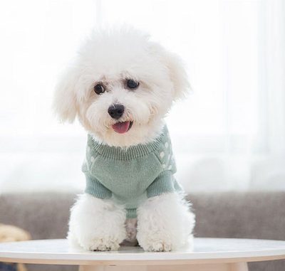 Ropa para Perros - Image 4
