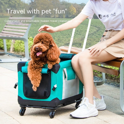 Bolsa Transportadora Portátil para Mascotas en Auto - Image 7