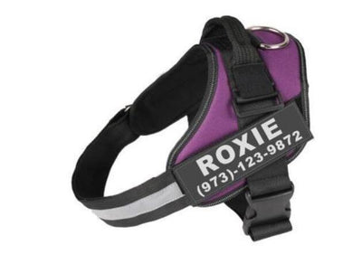 Arnés Reflectante Personalizado para Perros sin Tirón - Ajustable y Transpirable - Image 18
