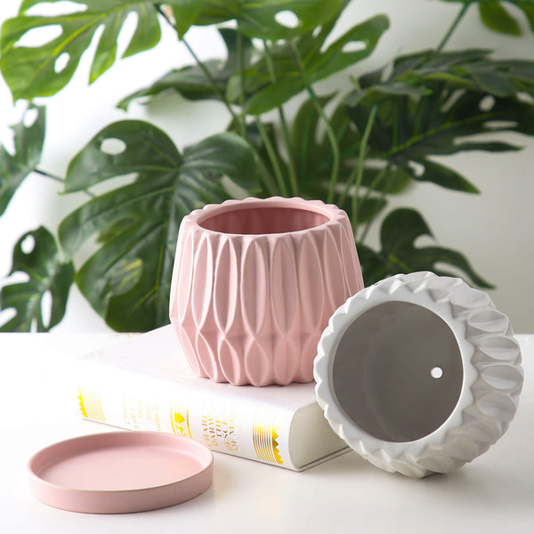 Maceta de Cerámica para Plantas de Escritorio
