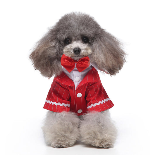 Conjunto de Ropa para Perros - Traje Completo de Moda - Image 29