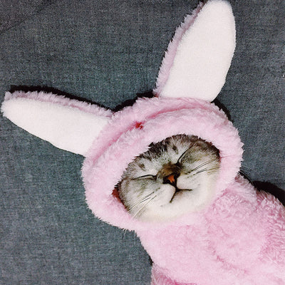 Ropa para Gatos y Gatitos - Diseños Divertidos y Adorables - Image 11