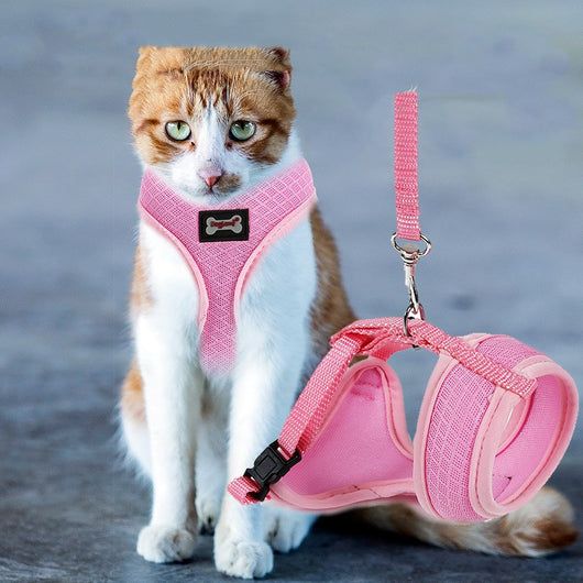 Arnés Antideslizante para Gatos - Image 10