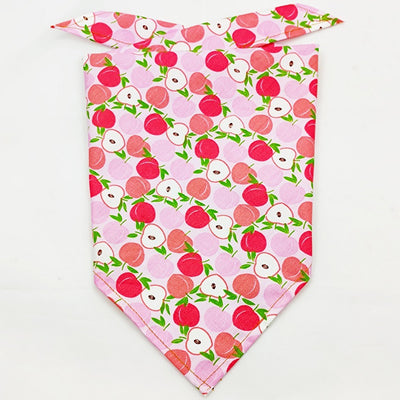 Pañuelo Bandana Absorbente para Mascotas con Diseño Frutal - Image 51