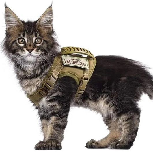 Black tactical pet harness made of Oxford cloth with an American flag patch, top handle, and quick-release buckles. - Image 4