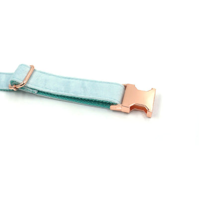 Collar de Terciopelo Zafiro para Mascotas - Image 11