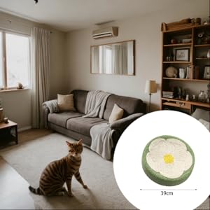 Cama Rascador para Gatos - Nido Acogedor con Zona de Descanso y Juego - Image 7