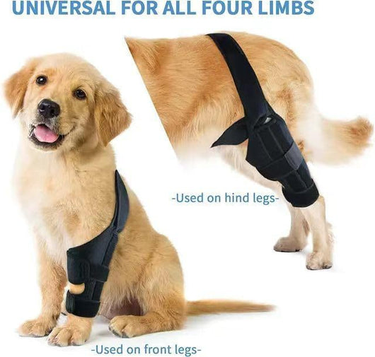 Black pet leg brace for dog injury assistance and rehabilitation, featuring adjustable straps and a supportive design. - Image 10