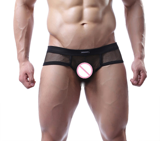 Calzoncillos Tipo Boxer de Malla Europeos y Americanos para Hombre en Talla Grande