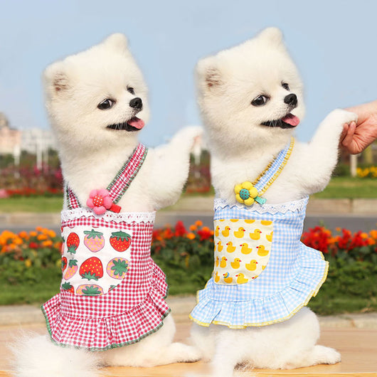 Falda Suspensor Elegante para Gatos - Ropa Delgada y Cómoda - Image 12