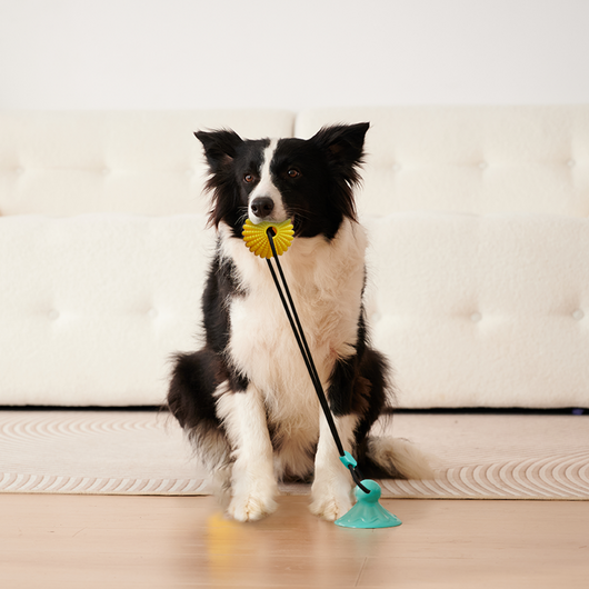 Juguete Masticable de Maíz con Ventosa - Juego Interactivo de Tracción para Perros Medianos y Grandes - Image 3