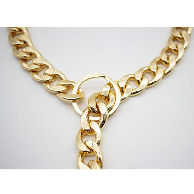 Collar Metálico Elegante y Dominante para Mascotas - Image 4