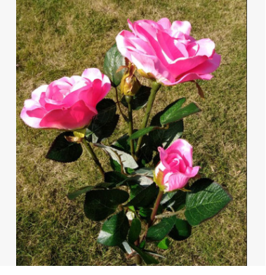 Lámpara Solar Rosa con 3 LED - Luz de Jardín Recargable por Energía Solar - Image 2