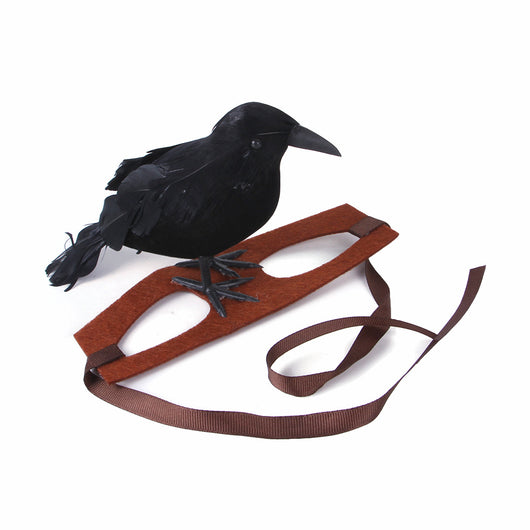 Diadema Decorativa Gato Cuervo - Acceorio Divertido para Mascotas - Image 10