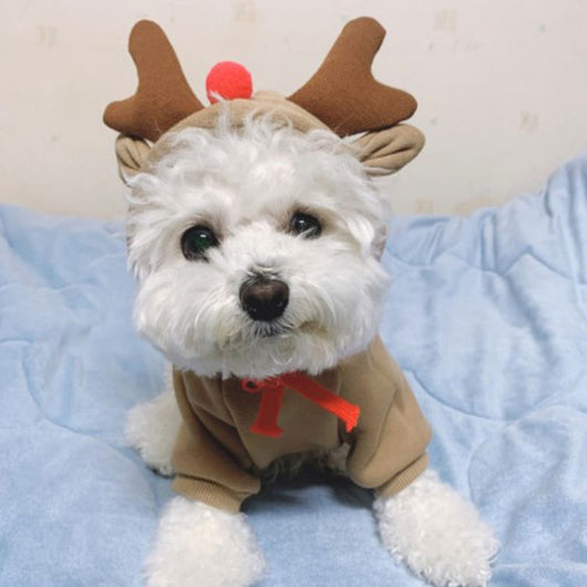 Suéter con Capucha Alce Damasco para Mascotas - Image 4