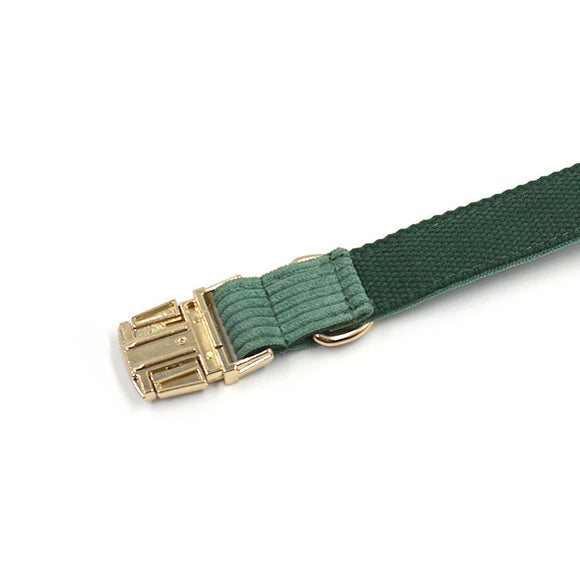 Collar para Perro en Pana Verde Oliva