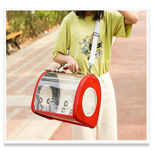Bolsa Transparente para Mascotas - Image 4