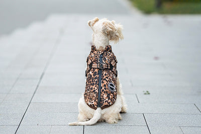 Arnés de Tracción para Perros con Cobertura de Pecho y Espalda - Image 10