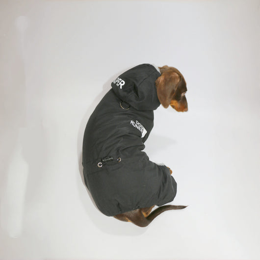 Abrigo Reflectante para Mascotas - Ropa Térmica Impermeable para Perros y Gatos - Image 5
