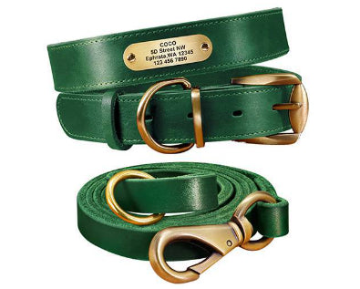 Collares Personalizados para Perros Medianos y Grandes con Placa de Identificación - Image 27