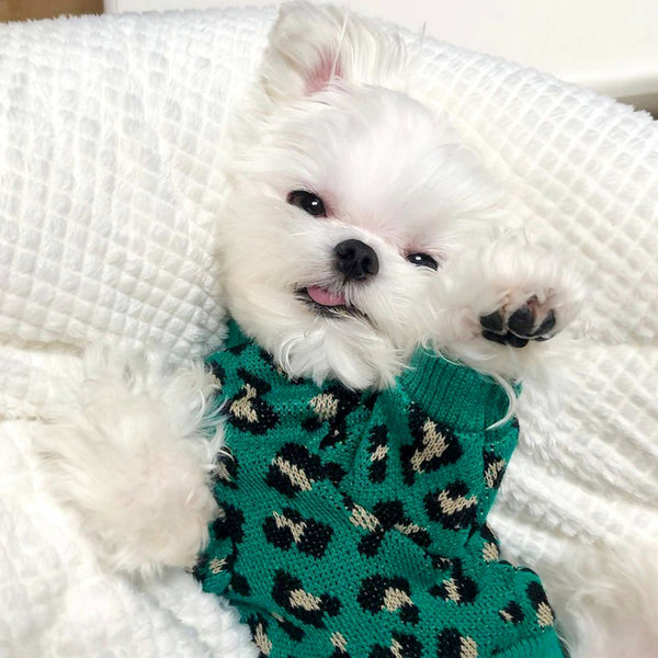 Suéter Leopardo Tejido para Perros Pequeños y Gatos