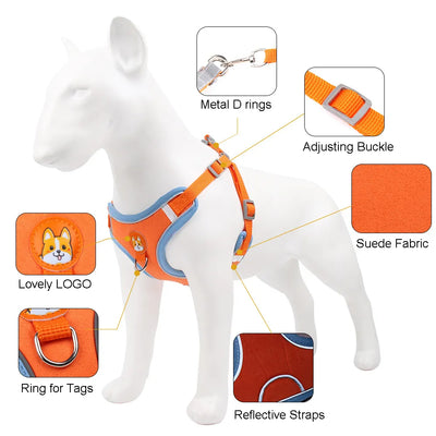 Arnés y Correa para Perro Pequeño - Set Ajustable con Reflectantes - Image 6