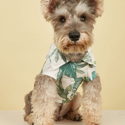 Camisa Hawaiana para Perros - Ropa de Verano Tropical - Image 2