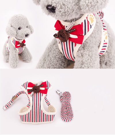 Chaleco Transpirable para Perros - Diseño Cómodo y Elegante - Image 13