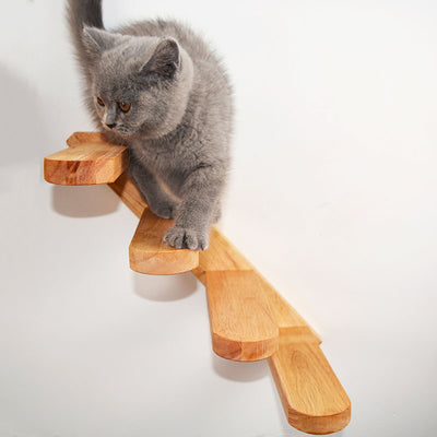 Escaleras y Plataformas para Gatos en Madera Sólida con Trampolines - Image 3