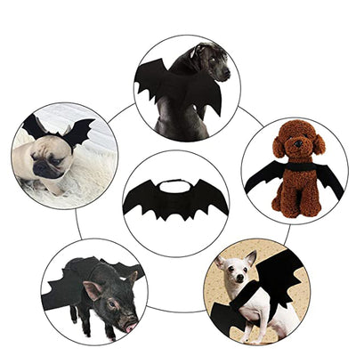 Alas de Murciélago para Mascotas - Disfraz Halloween para Gatos y Perros Pequeños - Image 7