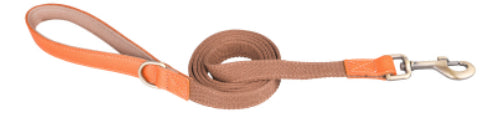 Collar de Cuero para Perros Anti-pérdida con Placa de Identificación - Image 10