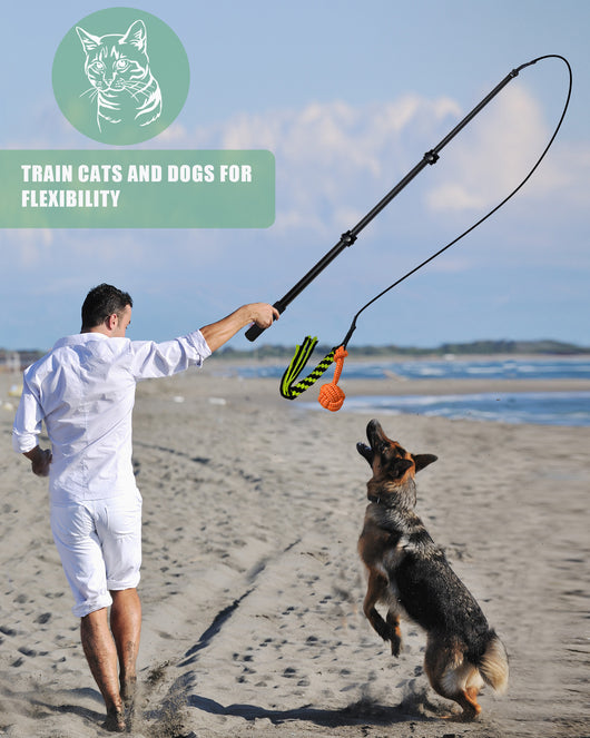 Black telescopic pet training rod with a black cord and two interchangeable braided fabric attachments in green/yellow and blue. - Image 24