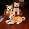 Peluche Perro Akita Realista - Juguete de Simulación Premium