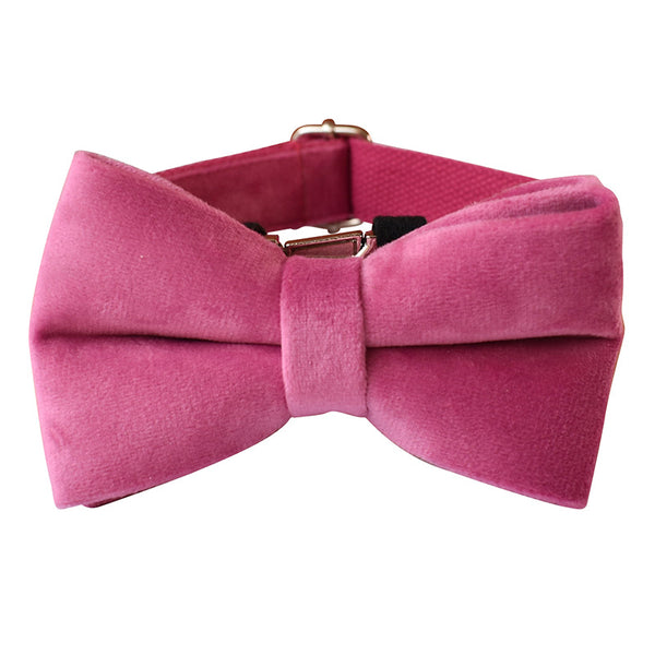 Collar de Cuerda para Perro Terciopelo Rojo Rosa