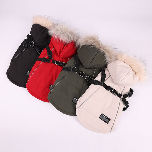 Traje Elegante para Perro con Chaleco y Gorro de Pelaje - Image 29